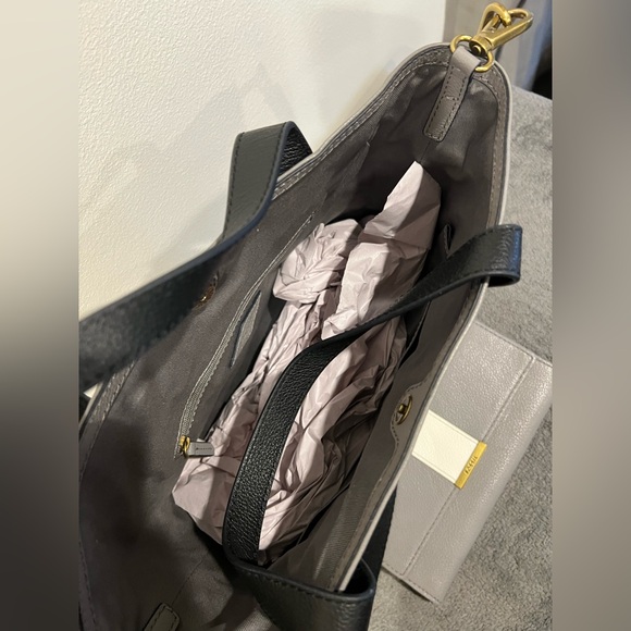 FOSSIL SET - Picture 4 of 8